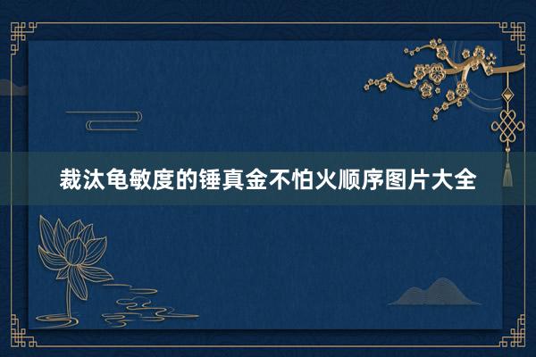 裁汰龟敏度的锤真金不怕火顺序图片大全